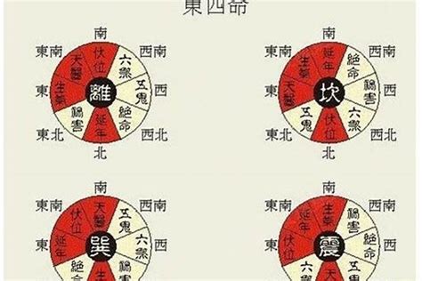 东四命西四命对照表|东四命西四命速查表